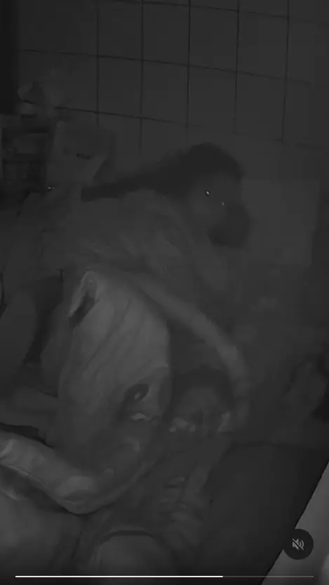 ▲女移工地震肉身護阿嬤(圖/Threads@jessie.1006授權) ▲女移工地震肉身護阿嬤(圖/Threads@jessie.1006授權)