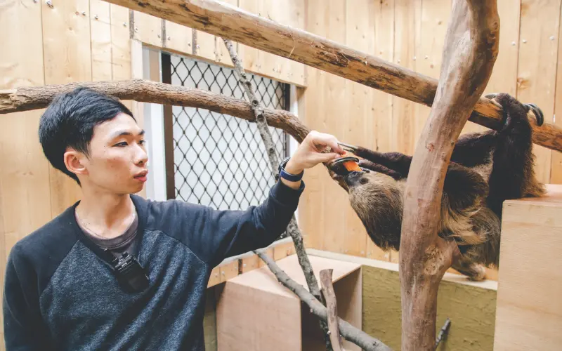 ▲宜蘭縣壯圍鄉於2024年初開幕的蘭陽動植物王國，農曆年開始，更新增無懼風雨的室內體驗區。（圖／蘭陽動植物王國提供）