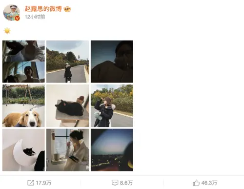 ▲趙露思久違地更新微博,她曬出一系列近況照。(圖/趙露思微博) ▲趙露思久違地更新微博,她曬出一系列近況照。(圖/趙露思微博)