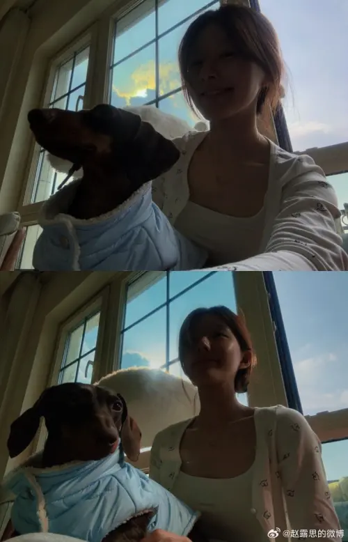 ▲趙露思大部分時間都與愛犬相伴。 ▲趙露思大部分時間都與愛犬相伴。