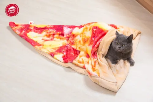 ▲必勝客「超巨大夏威夷披薩睡袋」包小孩或萌寵最療癒。（圖／必勝客提供）