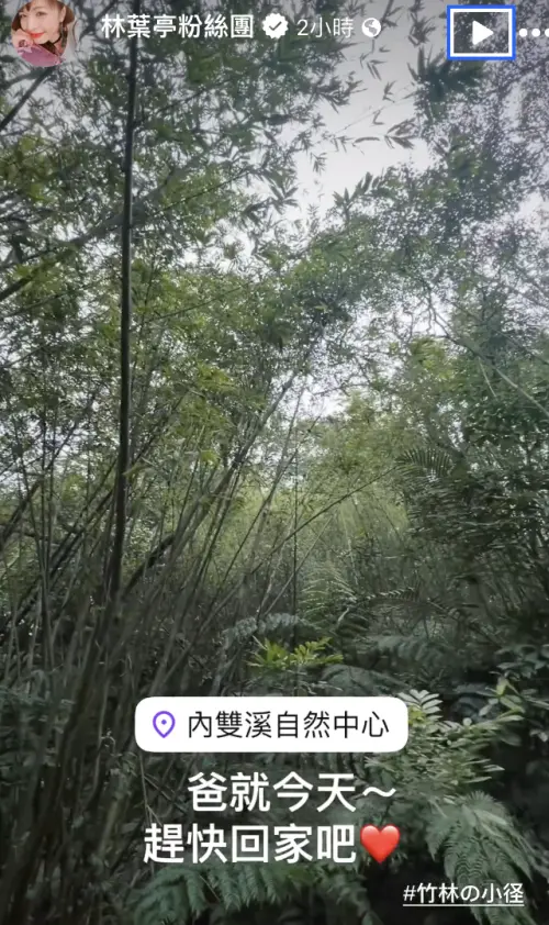 ▲林葉亭要爸爸趕快回家。（圖／翻攝自林葉亭臉書）