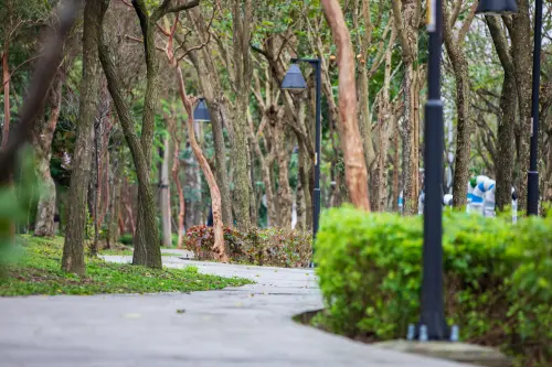 江怡臻說,位於三峽北大特區的「草地公園」,不僅保留既有喬木,還增設林蔭休憩區、體健區及草坪植栽區,讓大小朋友都能在此運動健身。(圖/江怡臻提供) ▲江怡臻說,位於三峽北大特區的「草地公園」,不僅保留既有喬木,還增設林蔭休憩區、體健區及草坪植栽區,讓大小朋友都能在此運動健身。(圖/江怡臻提供)