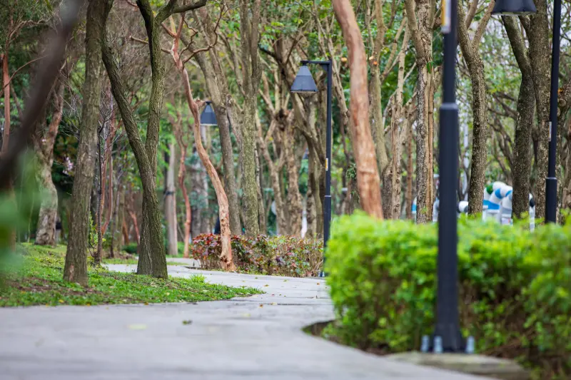 ▲江怡臻說，位於三峽北大特區的「草地公園」，不僅保留既有喬木，還增設林蔭休憩區、體健區及草坪植栽區，讓大小朋友都能在此運動健身。（圖／江怡臻提供）