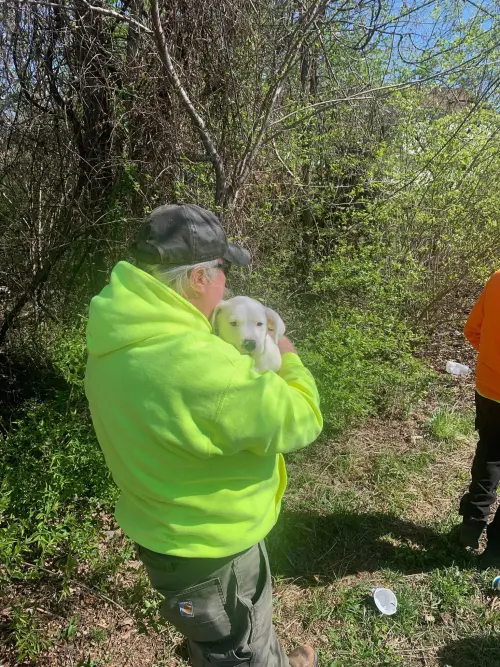 ▲杜德被清潔隊抱回照顧。(圖/翻攝fb@Missouri Stream Teams) ▲杜德被清潔隊抱回照顧。(圖/翻攝fb@Missouri Stream Teams)