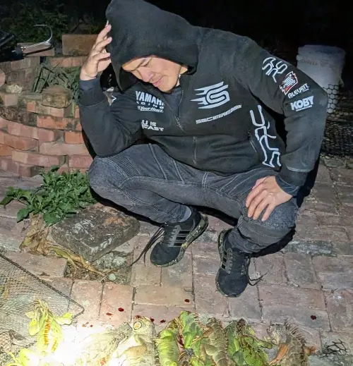 獨家/「獵蜥」網紅J爸突襲綠鬣蜥據點 手電筒一照傻眼了!