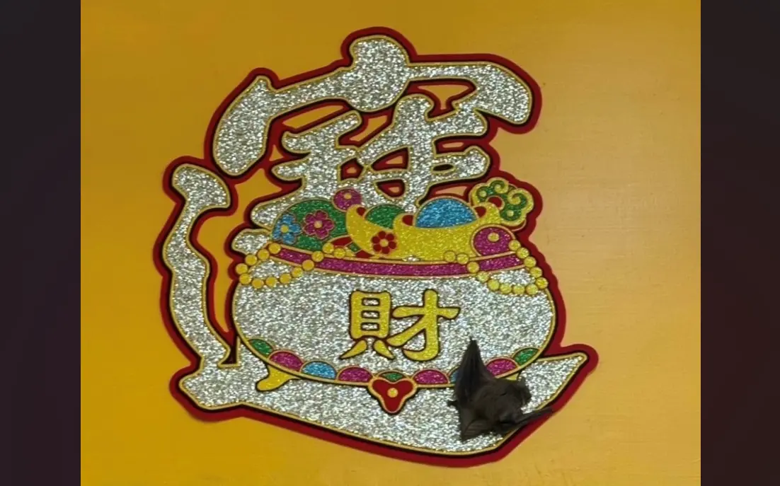 ▲位在高雄的聚銀樓彩券行，有婦人全家出遊合資，刮中了百萬大獎，彩券行更透露，當天一早就飛進一隻蝙蝠。並停在「招財進寶」的過年春聯裝飾上，果然就是要刮出大獎的吉兆。（圖／台灣彩券公司提供）