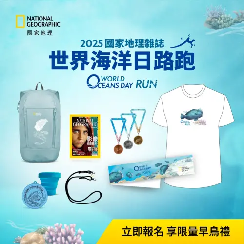 2025國家地理雜誌世界海洋日路跑 為珊瑚礁而跑 ▲參跑禮設計將隆頭鸚哥魚的生活習性呈現出來,喚起大眾對保護海洋生態的重視(圖/國家地理雜誌 提供)