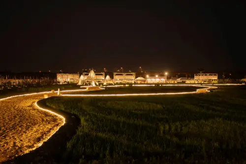 熱博運用光環境創造出不同以往的景象,首度開放遊客走入彩稻田,並延長開園時間至晚間七點半 ▲熱博運用光環境創造出不同以往的景象,首度開放遊客走入彩稻田,並延長開園時間至晚間七點半。(圖/屏東縣府提供)