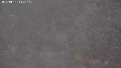 ▲太平山國家森林遊樂區蹦蹦車站正在下雪中。（圖／國家森林遊樂區即時影像）