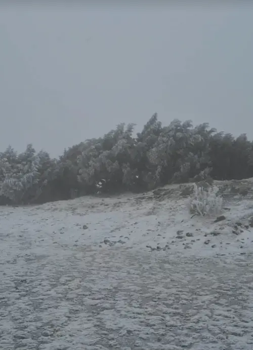 ▲寒流來襲，玉山稍早9時20分也下雪了！白雪皚皚覆蓋超美。（圖/氣象署提供）