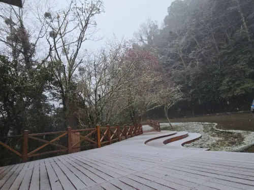 ▲清晨拉拉山國家森林遊樂區正飄雪中。（圖／翻攝拉拉山國家森林遊樂區）
