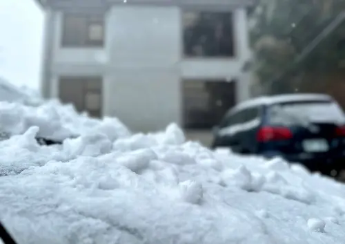 ▲桃園拉拉山2025年的第一場雪。（圖／翻攝拉拉山 恩愛農場）