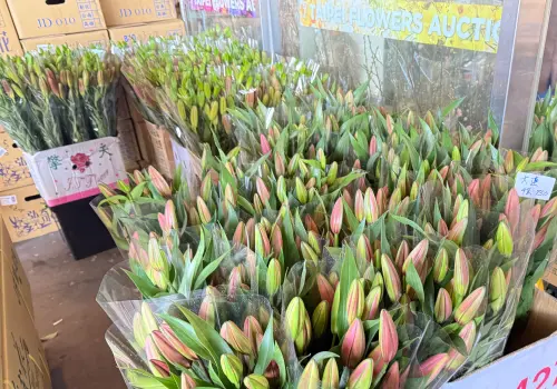 台北花市。(圖/記者周淑萍攝) ▲台北花市。(圖/記者周淑萍攝)