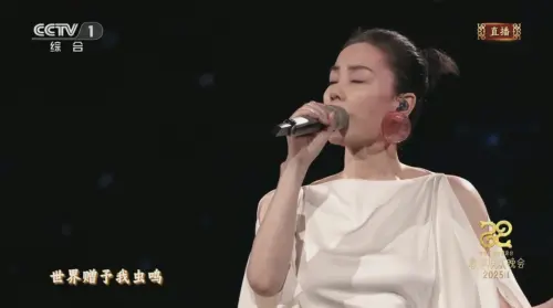 ▲王菲登台演唱新歌〈世界贈予我的〉。(圖/CCTV春晚) ▲王菲登台演唱新歌〈世界贈予我的〉。(圖/CCTV春晚)