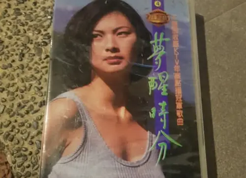 陳淑樺消失27年傳失智！〈夢醒時分〉伴唱帶被挖　竟爆冒牌貨內幕
