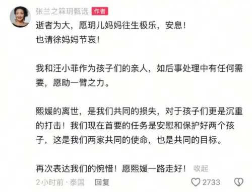 ▲張蘭發聲悼念大S（圖／翻攝自張蘭小紅書）