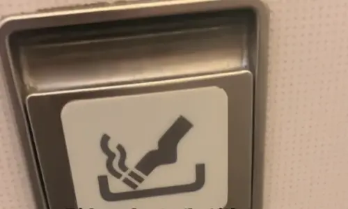 ▲飛機上全面禁菸，但是飛機廁所門上，卻還有著菸灰缸設置。（圖／Tiktok@sophiecatherinetang）