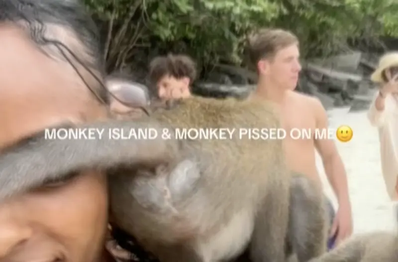 ▲一名外國遊客在猴島遊玩時，一隻熱情的猴子跳到她身上，並且突然地尿尿。（圖／翻攝自影片）