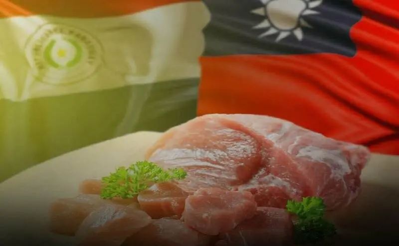 拒絕中國糖衣毒藥！巴拉圭海關署長計算若與台斷交　結果將超虧