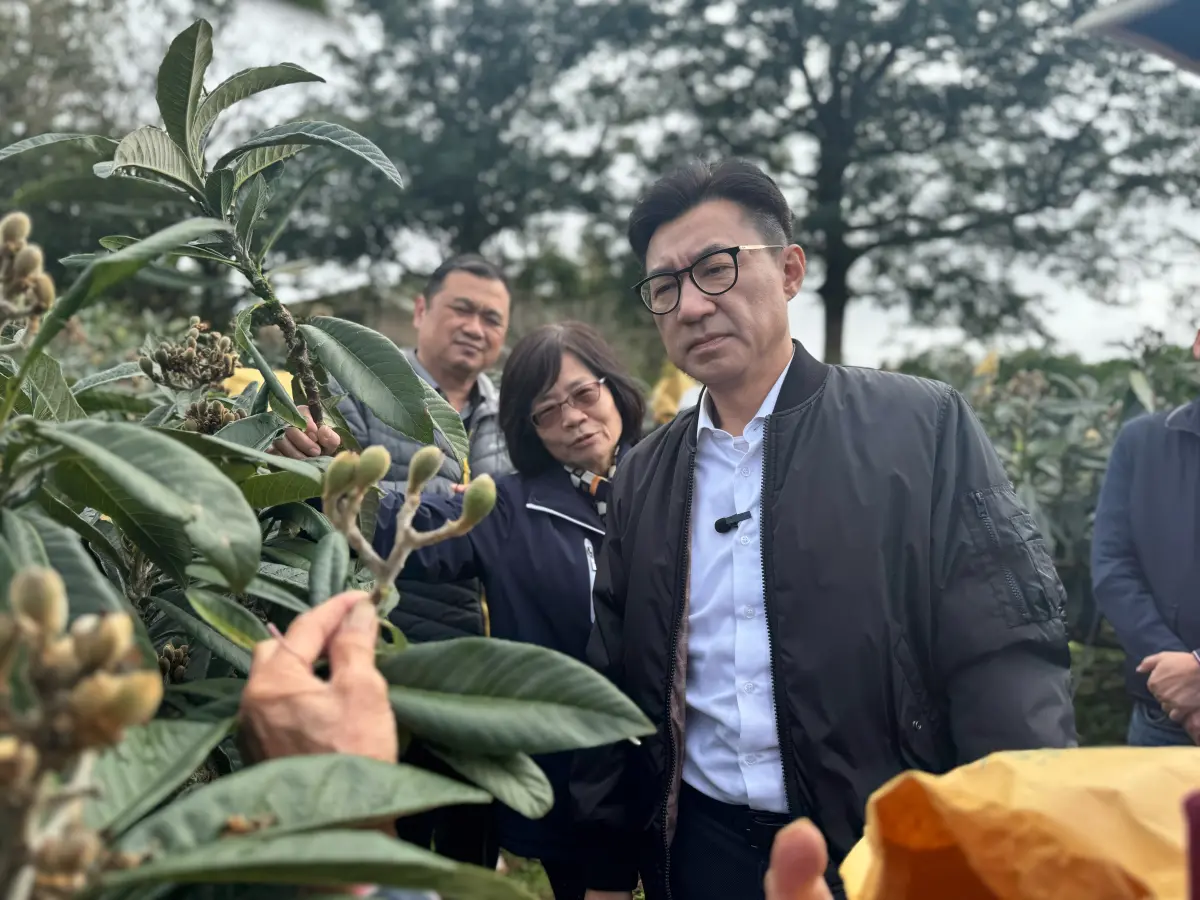 ▲新社枇杷正值盛花期卻逢極端氣候，產量大幅衰減，農民苦不堪言。立法院副院長江啟臣邀相關單位進行勘查(圖／江啟臣服務處提供2025.2.7)
