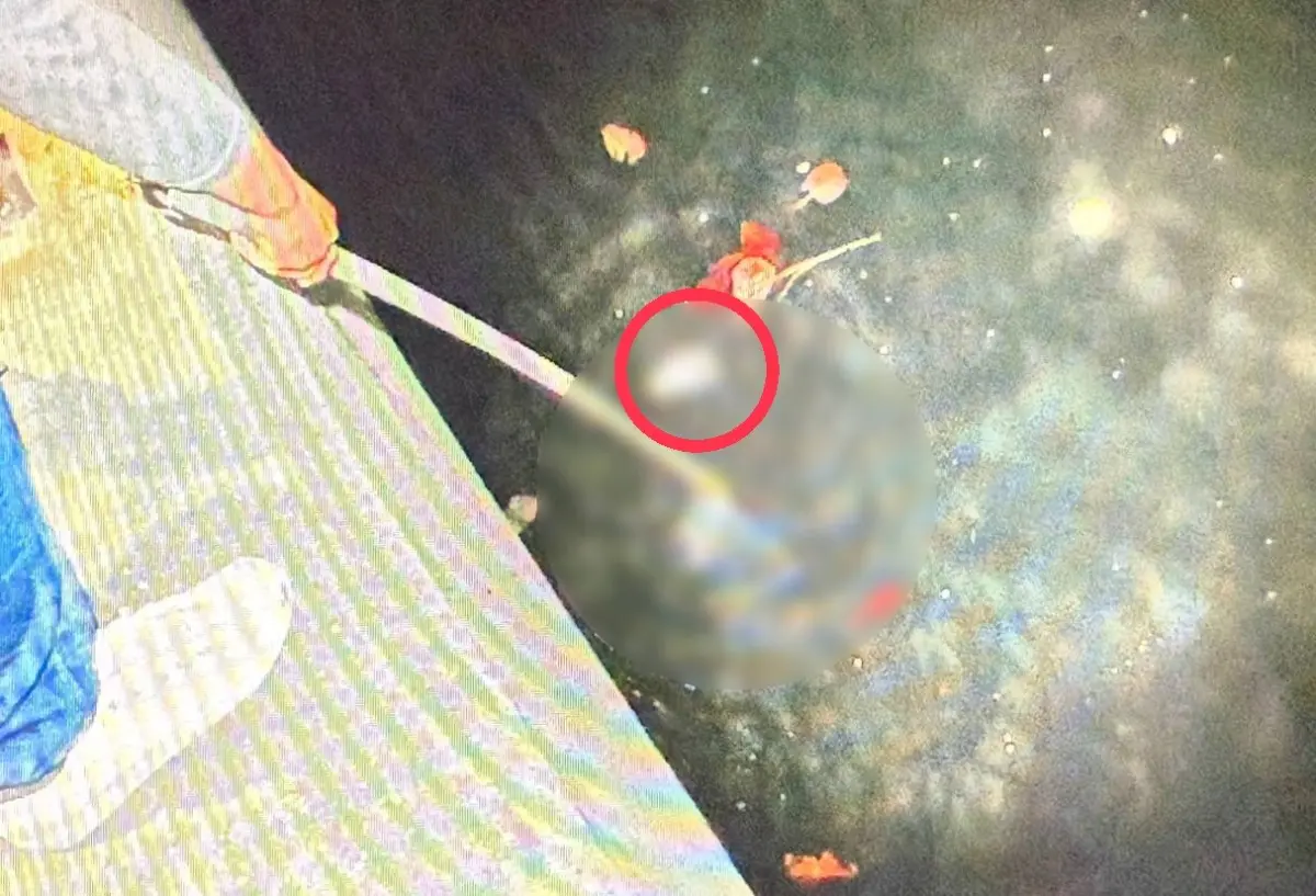 ▲高雄發生「連環殺人分屍案」，共有3名超過70歲婦人遇害，警方結束長達半個月的打撈作業，目前打撈77塊屍體殘骸也已全數鑑定完畢。（圖／高雄市刑大提供）