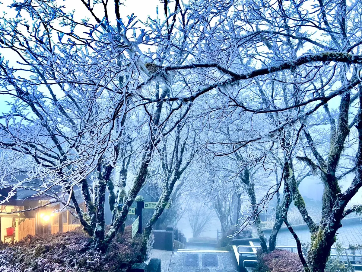 ▲宜蘭太平山森林遊樂區樹枝結冰霜，上午8時起開始降下冰霰。（圖／太平山國家森林遊樂區提供）