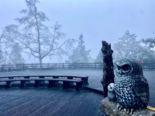 ▲海拔約1900公尺宜蘭縣太平山國家森林遊樂區降溫降至攝氏-1度，早上8時開始降下冰霰