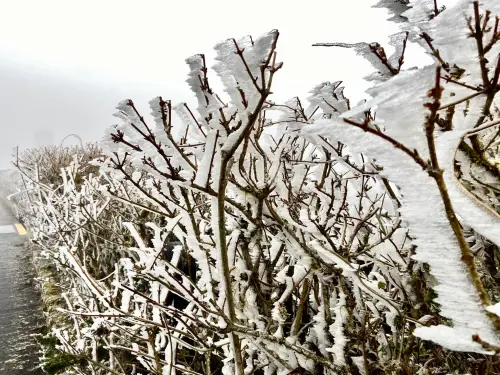 ▲。（圖／太平山遊樂區提供）