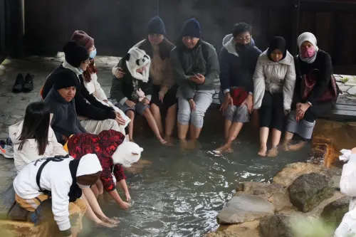 影／陽明山好冷！東南亞遊客凍到受不了　擠溫泉泡湯
