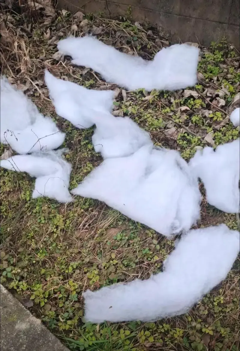 ▲中國民眾外出走春，發現打卡景點「成都雪村」的雪景居然都是棉花。（圖／翻攝自微博）