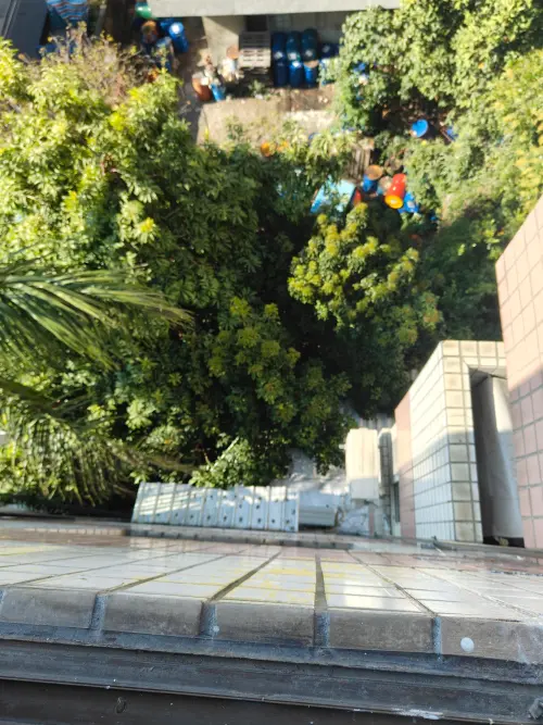 ▲台中大里區上午驚傳男童墜樓意外！一名6歲男童疑似為了「撿玩具」從5樓住處，不慎跌落2樓鐵皮屋屋頂。（圖／警方提供）