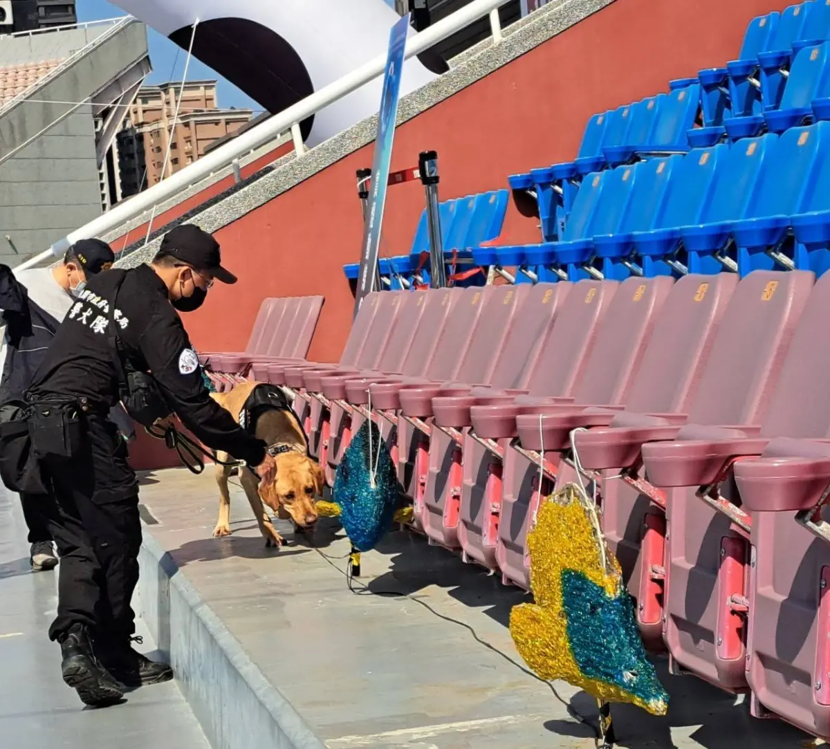 ▲即將登場的2025台灣燈會，是桃園警犬隊今年第一場大型任務，燈會期間每日編排3位領犬員帶領3隻警犬執勤。（圖／桃園市警局提供）