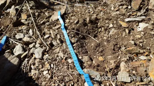 ▲玉管處保育巡查員在玉山主峰線步道發現台灣黑熊腳印。（圖／玉管處提供，2025.02.11）