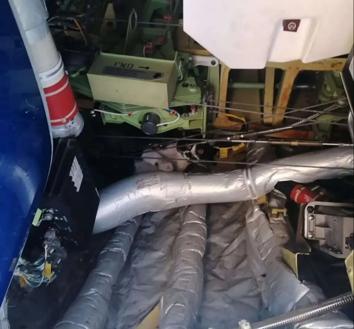 ▲瑞安航空一架波音737-800客機，預計從羅馬飛往德國，機組人員在起飛前在機艙內聽到貓叫聲，發現一隻貓咪躲在機艙內電子設備中。（圖／擷自uncensorednews9Ｘ）