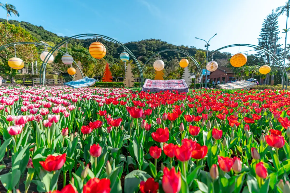 ▲「2025士林官邸鬱金香展」登場，園區內規劃8大異國展區、共計有13萬株鬱金香，整理時間、日期、亮點一次看。（圖／取自士林官邸旅客臉書）