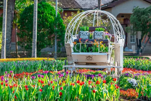 ▲八大展區規劃區滿滿異國風情。（圖／取自士林官邸旅客臉書）