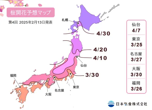 ▲日本氣象株式會社2月13日公布最新櫻花預測（圖／翻攝日本氣象株式會社）