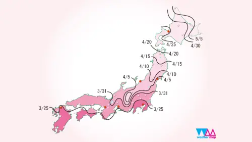 ▲Weather map公布最新日本櫻花預測（圖／翻攝Weather map）