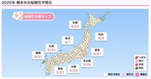 ▲Weather News最新櫻花預測公布（圖／翻攝Weather News）