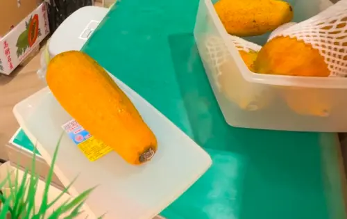 ▲記者突襲要求店家提供多顆木瓜查看，快速的目測，並未見到發爛、發霉的品項。（圖／記者周淑萍攝）