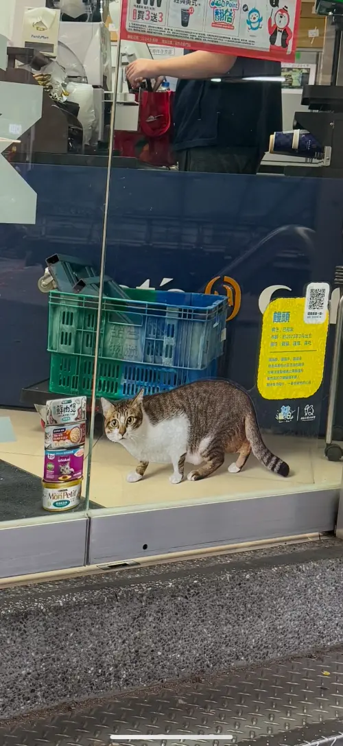 ▲（圖／翻攝自Threads）