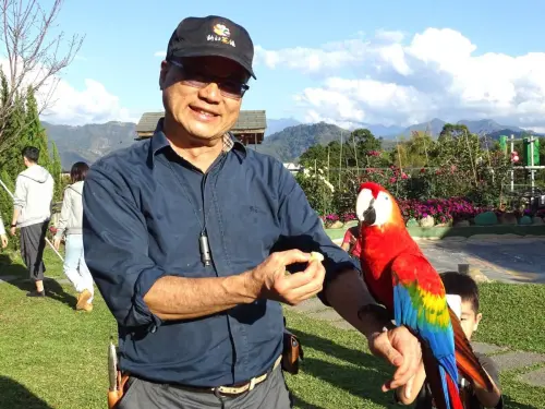 ▲來自中南美洲金剛鸚鵡，有鮮艷羽毛，聰明伶俐，成為園區最佳迎賓天使，每天兩場放飛秀，賞櫻又賞鸚。（圖／業者提供）