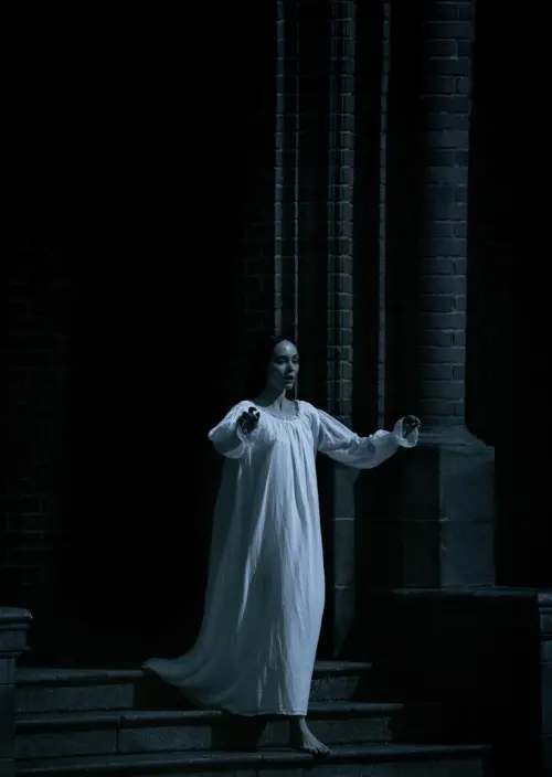 ▲《吸血鬼：諾斯費拉圖》。（圖／環球提供）