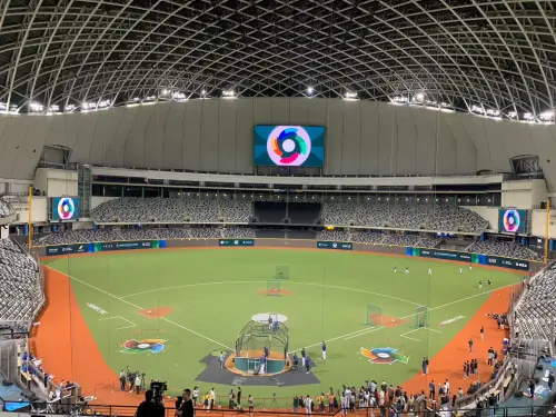 ▲大聯盟進駐臺北大巨蛋，球場草皮已漆上WBC彩繪。（圖／記者陳柏翰攝）