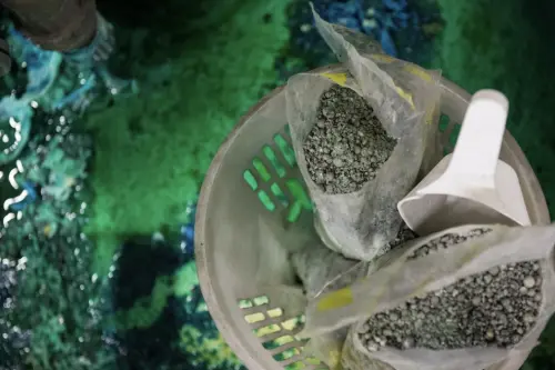 鎳是生產電動車電池的重要原材料。(示意圖/翻攝自Pixabay) ▲鎳是生產電動車電池的重要原材料。(示意圖/翻攝自Pixabay)