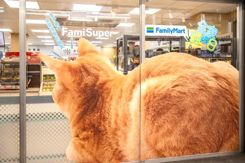 ▲歡慶貓之日「全家」康陽店設計巨大貓咪佈置。（圖／全家提供）