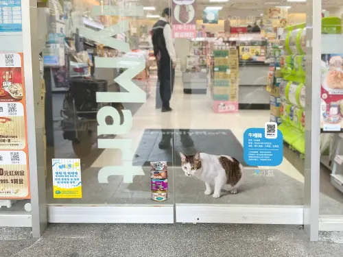 ▲店舖電動門上貼上正在找家的浪貓，並搭配浪貓介紹資訊與QR code可導連至認養頁面。（圖／全家提供）