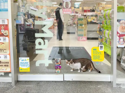 ▲店舖電動門上貼上正在找家的浪貓，並搭配浪貓介紹資訊與QR code可導連至認養頁面。（圖／全家提供）