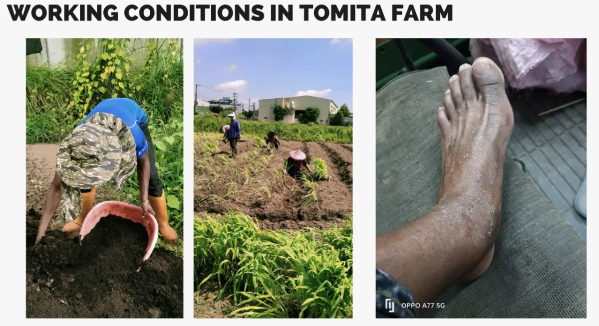 ▲肯亞籍白領移工於2022年間以專業身分受聘僱來台，工作期間雇主未依契約規定給付薪資，並求從事未經許可之農業。（圖／群眾服務協會提供）